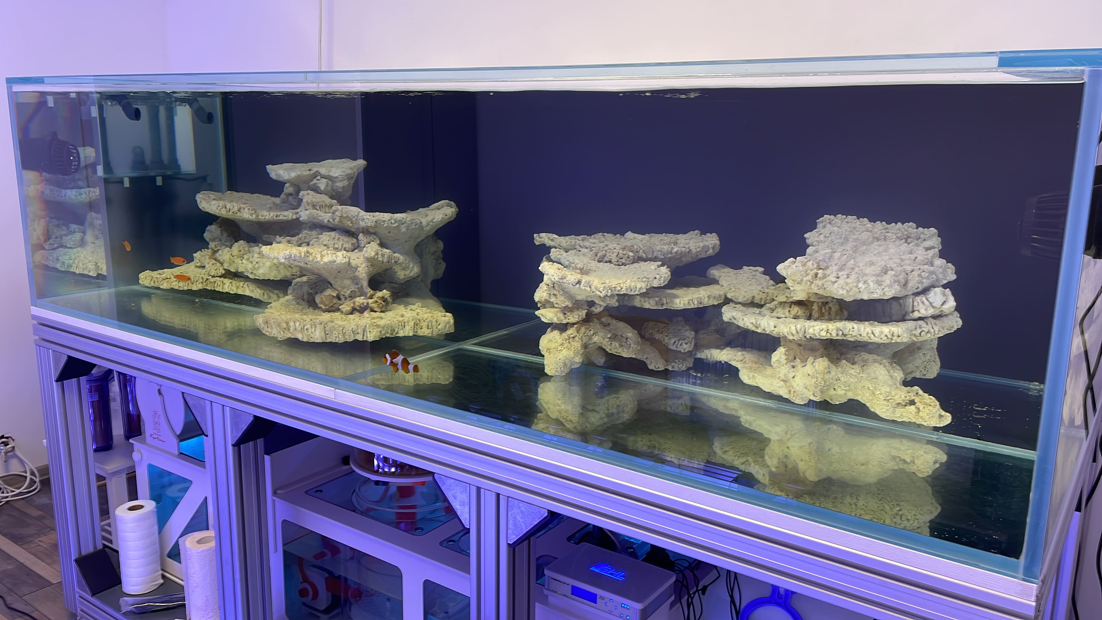 Изготовление морских аквариумов